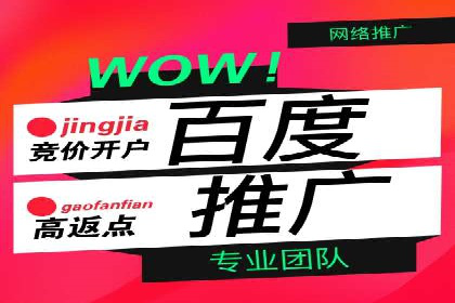 百度竞价广告运营的技巧与误区：成功案例解析